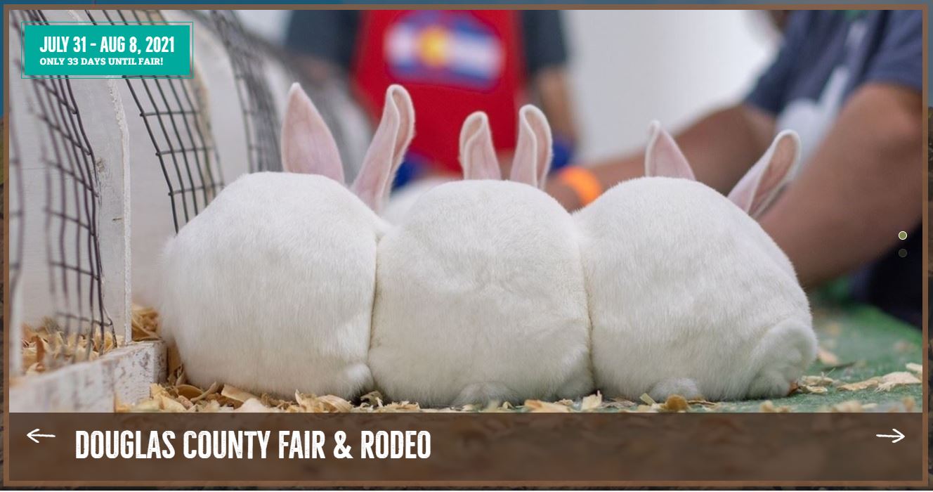 Douglas County Fair &amp; Rodeo