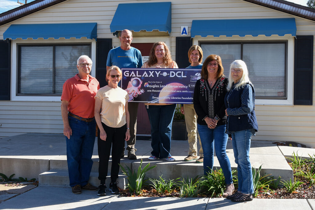 DCL Press Releases DCL Press Releases